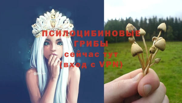 PSILOCYBIN Козельск