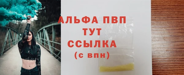 PSILOCYBIN Козельск