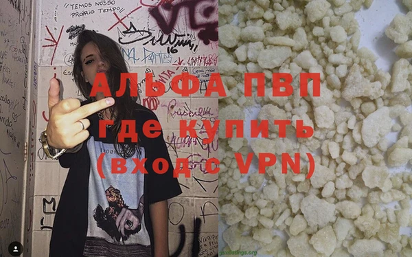 PSILOCYBIN Козельск