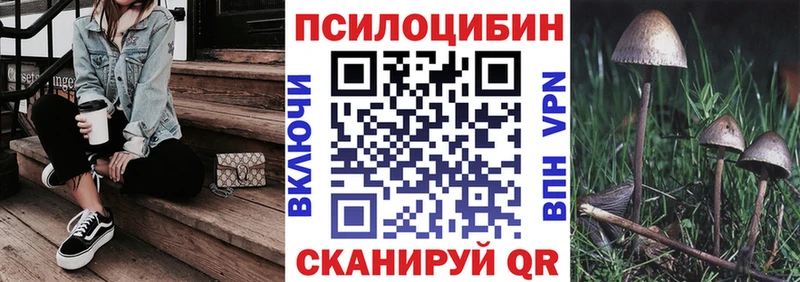 Купить  Энем  Галлюциногенные грибы прущие грибы 