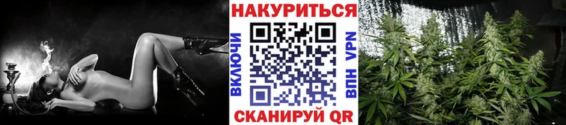 Купить где  Энем  Марихуана семена 
